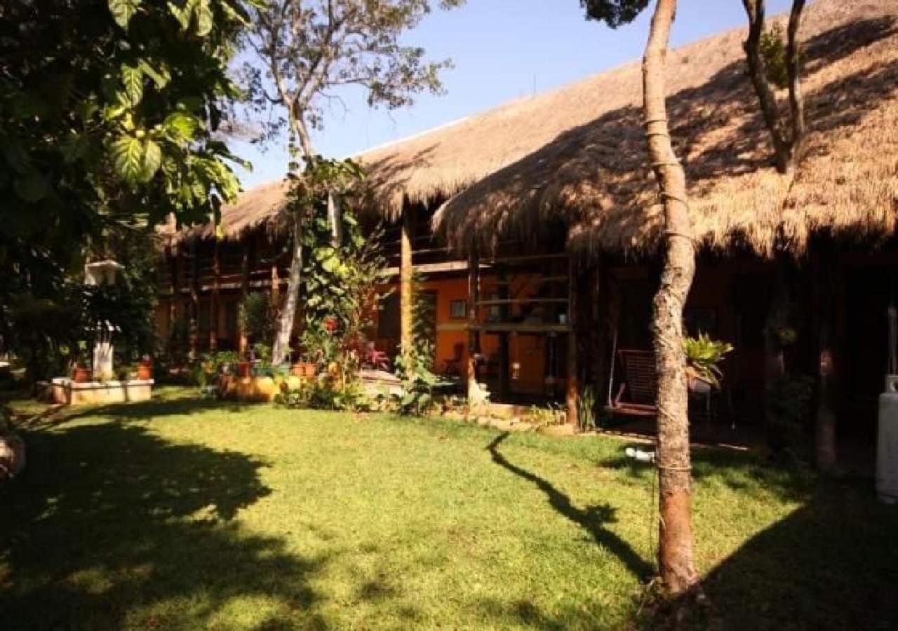 Esduma Iguanas Hotel بلايا ديل كارمن المظهر الخارجي الصورة