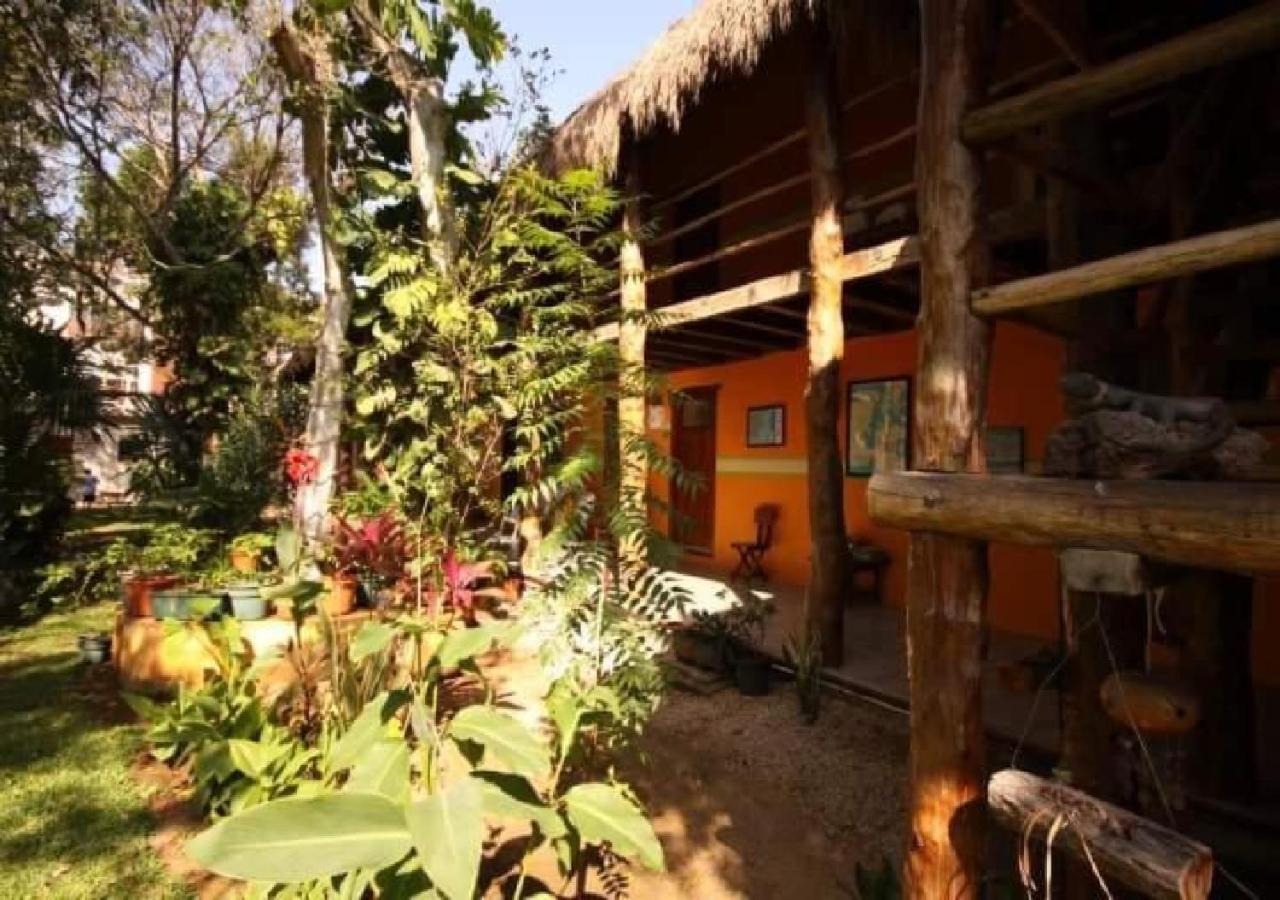 Esduma Iguanas Hotel بلايا ديل كارمن المظهر الخارجي الصورة